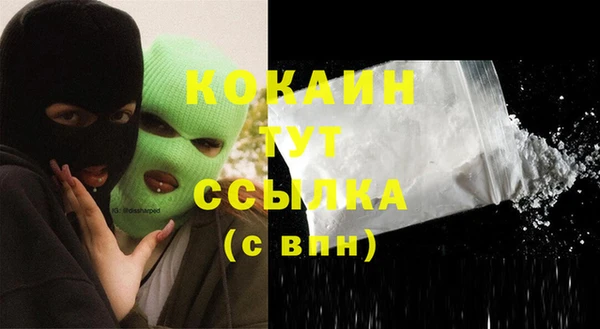 гидра Белокуриха