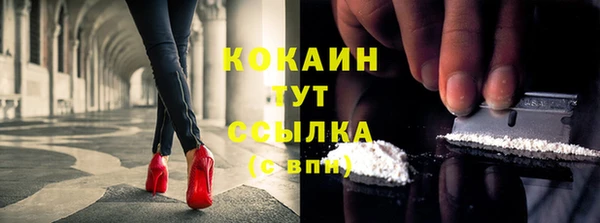 гидра Белокуриха