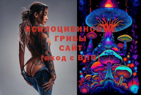 шишки Балахна
