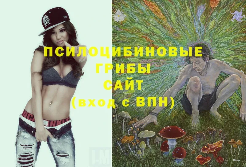 Галлюциногенные грибы Magic Shrooms  ОМГ ОМГ tor  Гулькевичи 