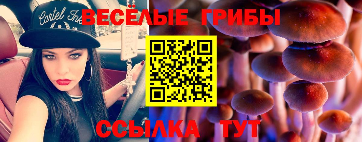 COCAIN  25-NBOMe  МАРИХУАНА  Гулькевичи  Ляпка  Вход с VPN  Меф 
