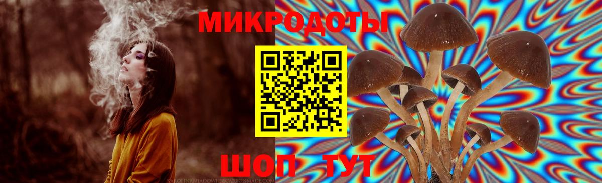 Псилоцибиновые грибы Magic Shrooms  Вход с VPN  Галлюциногенные грибы Psilocybine cubensis  Гулькевичи 
