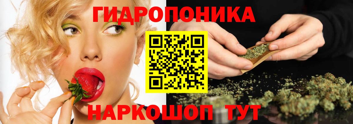 Бошки марихуана THC 21% Гулькевичи